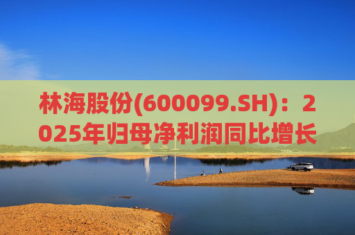 林海股份(600099.SH)：2025年归母净利润同比增长33.24%，每股拟派利0.045元  第1张