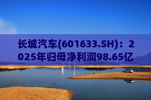 长城汽车(601633.SH)：2025年归母净利润98.65亿元，每股拟派利0.35元
