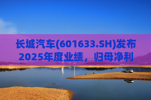 长城汽车(601633.SH)发布2025年度业绩，归母净利润98.65亿元，同比下降22.07%  第1张