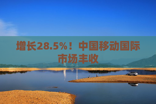 增长28.5%！中国移动国际市场丰收