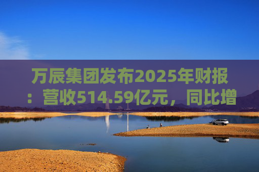 万辰集团发布2025年财报：营收514.59亿元，同比增长59.17%