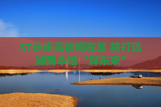ST步步高摘帽在即 将打造湖南本地“胖东来”