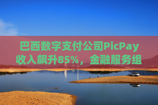 巴西数字支付公司PicPay收入飙升85%，金融服务组合持续扩大  第1张