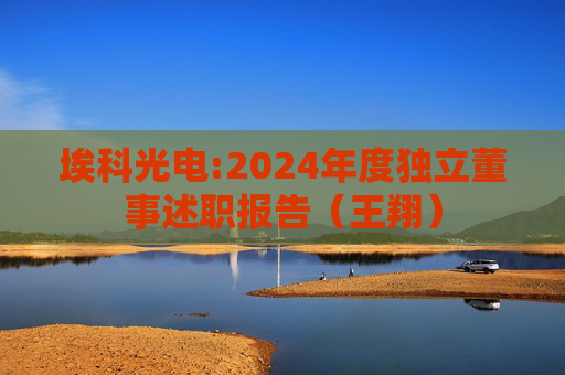 埃科光电:2024年度独立董事述职报告（王翔）  第1张