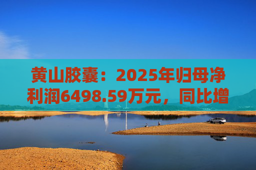 黄山胶囊：2025年归母净利润6498.59万元，同比增长31.94%