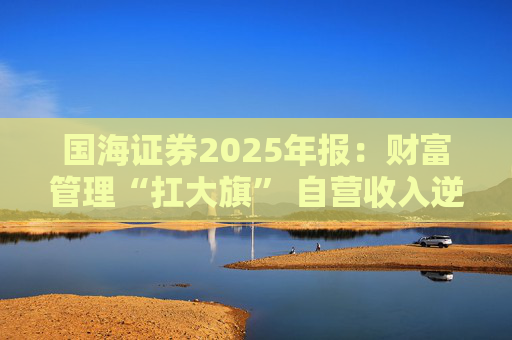 国海证券2025年报：财富管理“扛大旗” 自营收入逆势大降 投行收入占比仅2%  第1张
