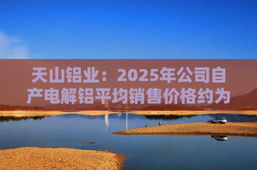 天山铝业：2025年公司自产电解铝平均销售价格约为20600元/吨