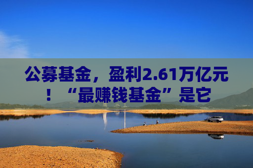 公募基金，盈利2.61万亿元！“最赚钱基金”是它