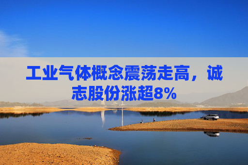 工业气体概念震荡走高，诚志股份涨超8%
