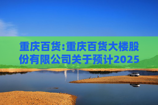 重庆百货:重庆百货大楼股份有限公司关于预计2025年日常关联交易的公告