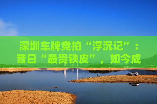 深圳车牌竞拍“浮沉记”：昔日“最贵铁皮”，如今成交价持续走低  第1张