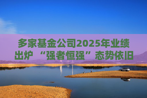 多家基金公司2025年业绩出炉 “强者恒强”态势依旧  第1张