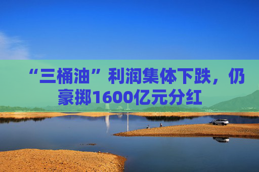 “三桶油”利润集体下跌，仍豪掷1600亿元分红