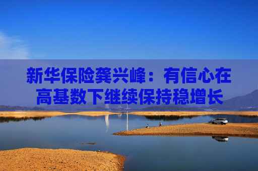 新华保险龚兴峰：有信心在高基数下继续保持稳增长  第1张