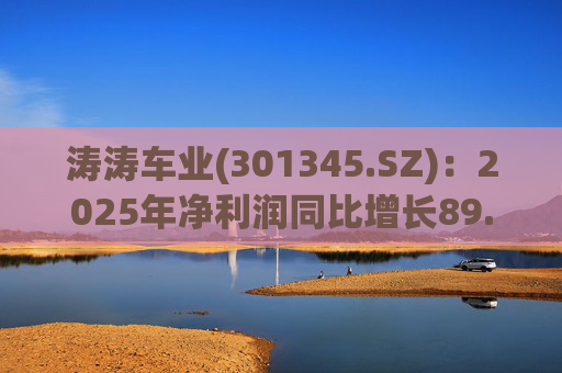 涛涛车业(301345.SZ)：2025年净利润同比增长89.29% 拟10派15元