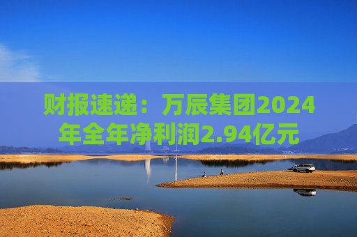 财报速递：万辰集团2024年全年净利润2.94亿元