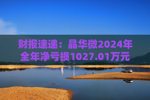 财报速递：晶华微2024年全年净亏损1027.01万元  第1张
