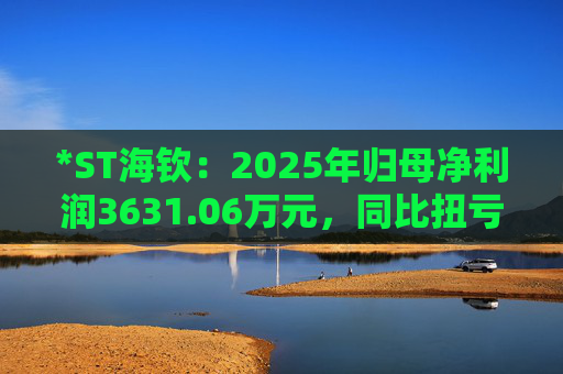 *ST海钦：2025年归母净利润3631.06万元，同比扭亏为盈
