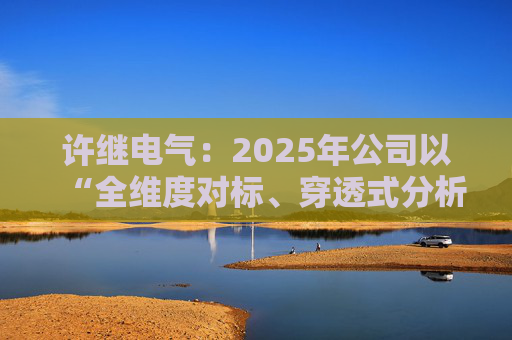 许继电气：2025年公司以“全维度对标、穿透式分析、动态化管控”为核心  第1张