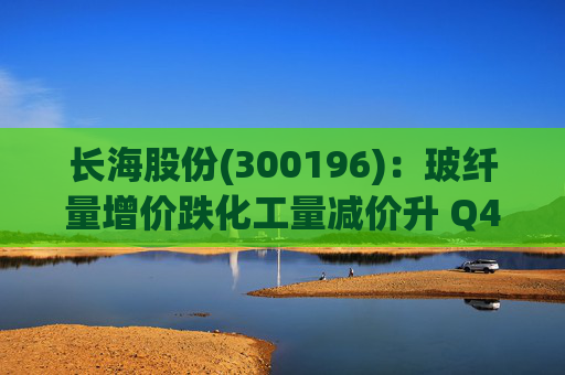 长海股份(300196)：玻纤量增价跌化工量减价升 Q4业绩同比显著修复
