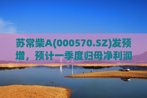 苏常柴A(000570.SZ)发预增，预计一季度归母净利润7000万元至8000万元，同比增长60.11%至82.98%  第1张