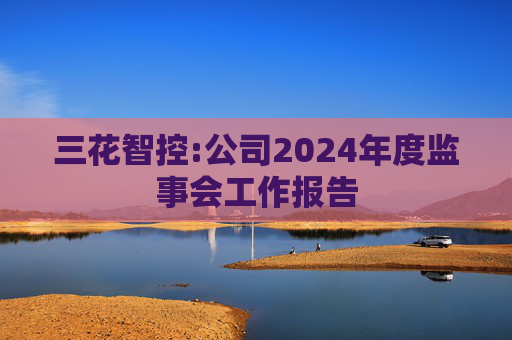 三花智控:公司2024年度监事会工作报告  第1张