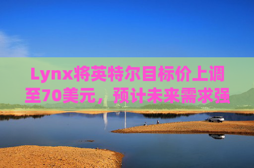 Lynx将英特尔目标价上调至70美元，预计未来需求强劲