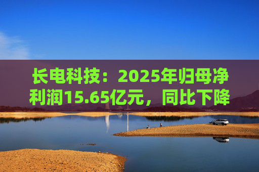 长电科技：2025年归母净利润15.65亿元，同比下降2.75%