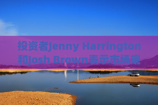 投资者Jenny Harrington和Josh Brown表示市场底部临近
