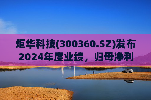 炬华科技(300360.SZ)发布2024年度业绩，归母净利润6.65亿元，同比增长9.45%  第1张