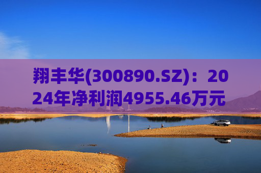 翔丰华(300890.SZ)：2024年净利润4955.46万元 同比下降40.23%