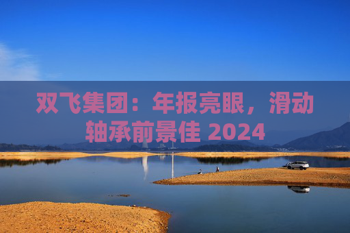 双飞集团：年报亮眼，滑动轴承前景佳 2024