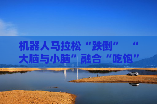 机器人马拉松“跌倒”  “大脑与小脑”融合“吃饱” 第1张