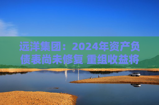 远洋集团：2024年资产负债表尚未修复 重组收益将于2025年释放