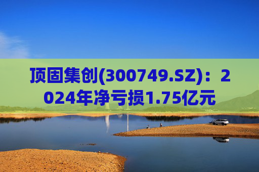顶固集创(300749.SZ)：2024年净亏损1.75亿元
