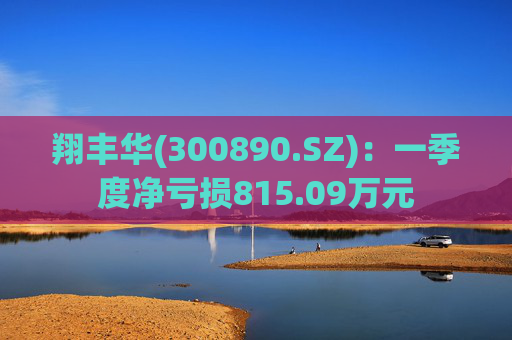 翔丰华(300890.SZ)：一季度净亏损815.09万元