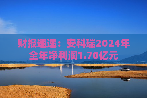 财报速递：安科瑞2024年全年净利润1.70亿元