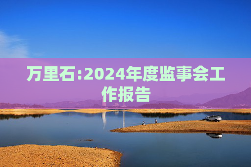 万里石:2024年度监事会工作报告