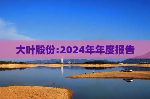 大叶股份:2024年年度报告  第1张