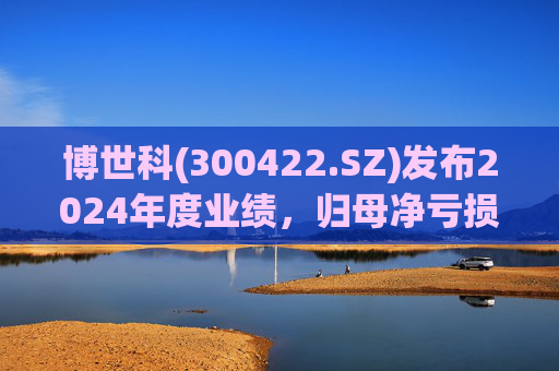 博世科(300422.SZ)发布2024年度业绩，归母净亏损8.65亿元，扩大300.66%
