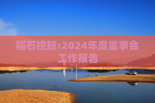 福石控股:2024年度监事会工作报告  第1张