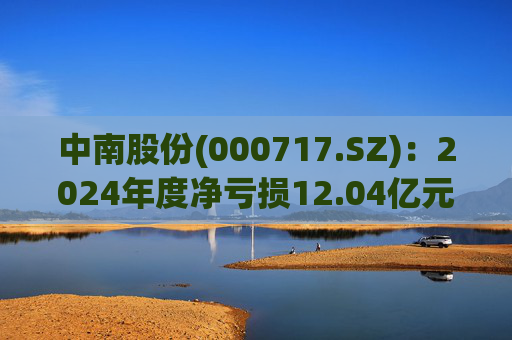 中南股份(000717.SZ)：2024年度净亏损12.04亿元