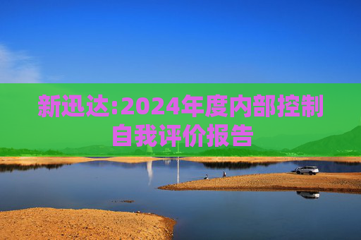 新迅达:2024年度内部控制自我评价报告  第1张