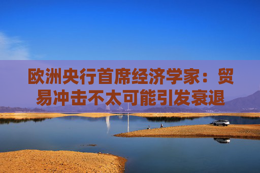 欧洲央行首席经济学家：贸易冲击不太可能引发衰退  第1张
