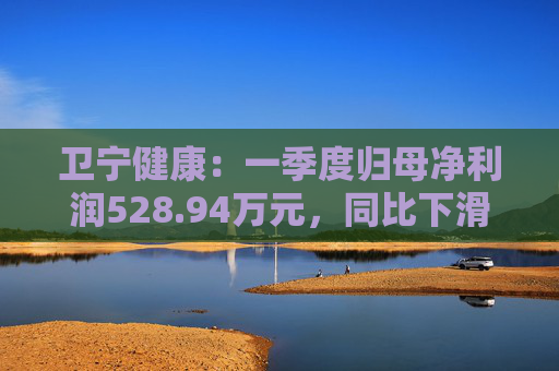 卫宁健康：一季度归母净利润528.94万元，同比下滑68.18%