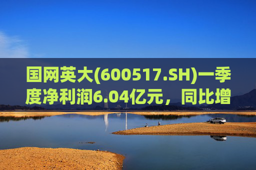 国网英大(600517.SH)一季度净利润6.04亿元，同比增长45.22%