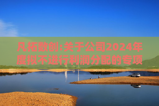 凡拓数创:关于公司2024年度拟不进行利润分配的专项说明