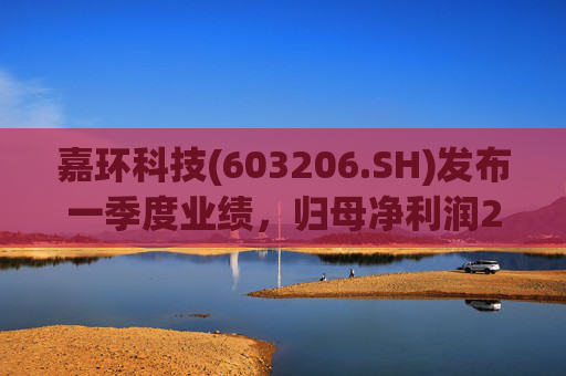 嘉环科技(603206.SH)发布一季度业绩，归母净利润2021.72万元，同比下降21.02%