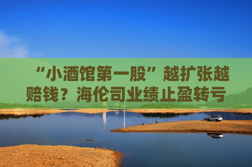 “小酒馆第一股”越扩张越赔钱？海伦司业绩止盈转亏