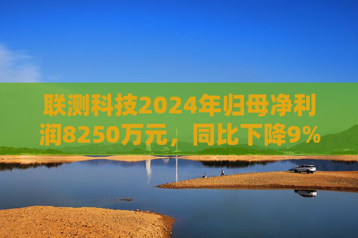 联测科技2024年归母净利润8250万元，同比下降9%